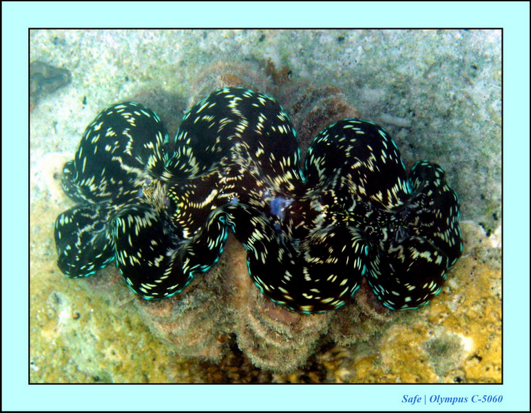 2005 - 08 - Perhentian  - 074.JPG